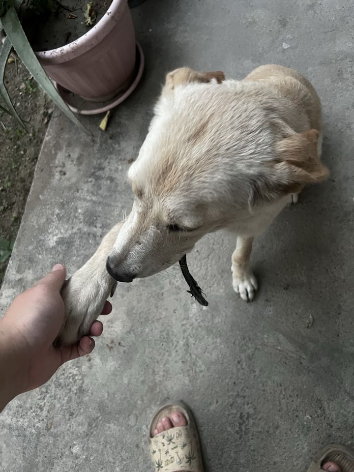 Бесплатно