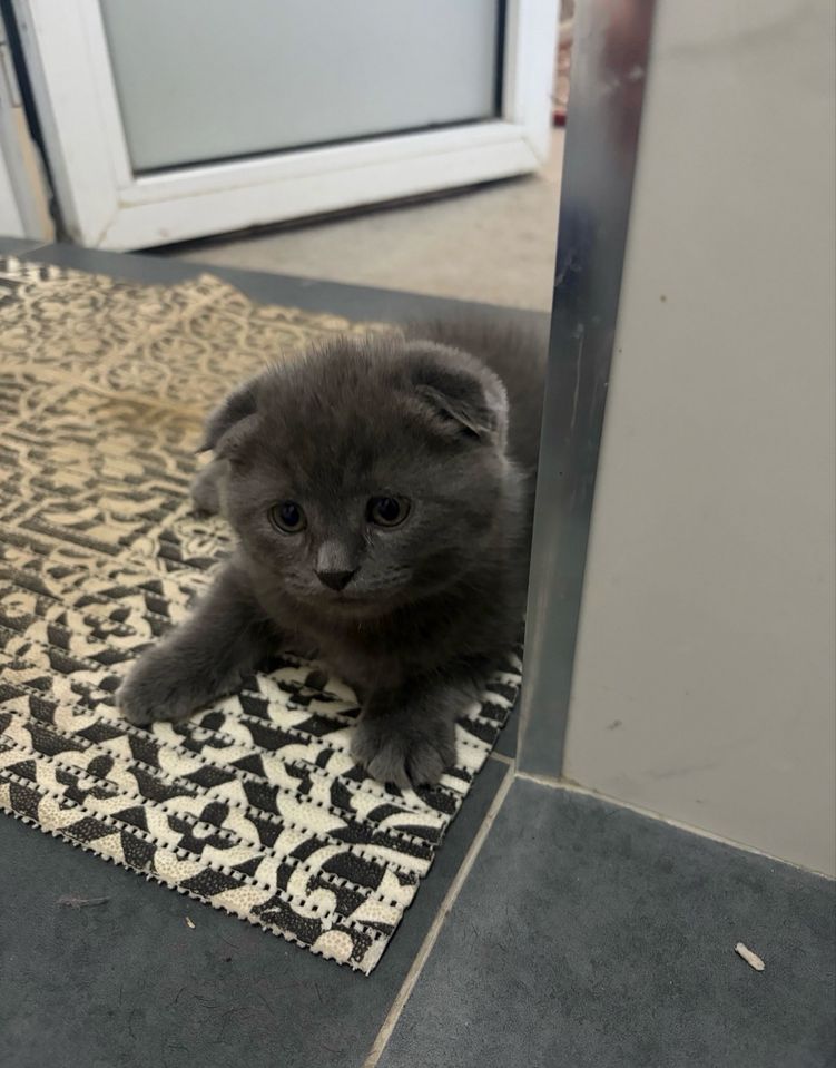 1 100 000 сум