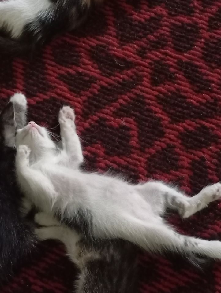 Free
