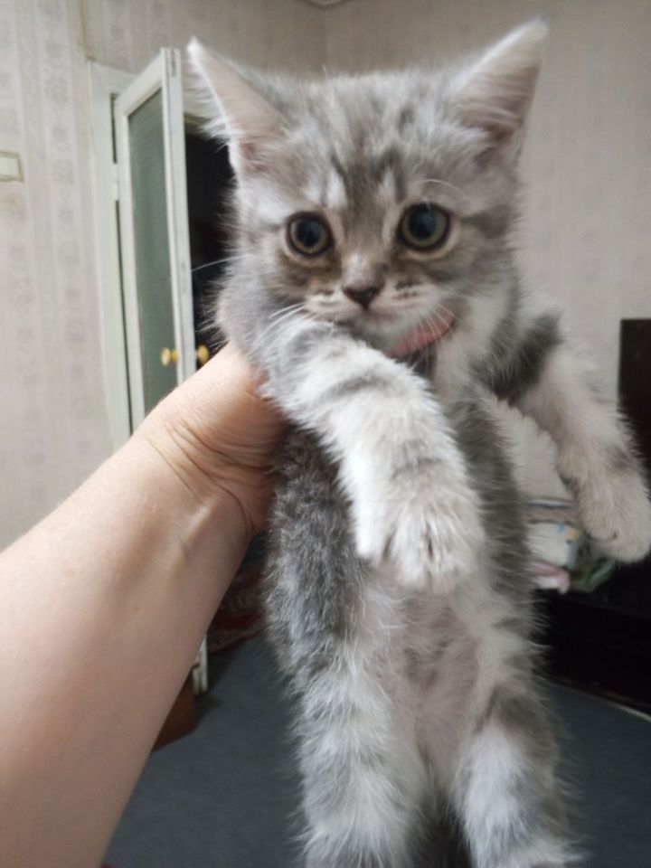 500 000 сум
