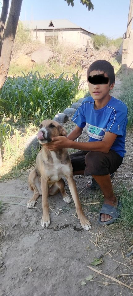 100 000 сум