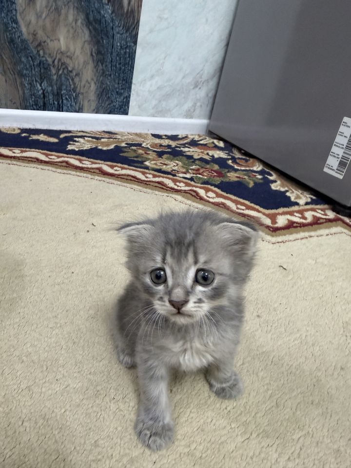 180 000 UZS