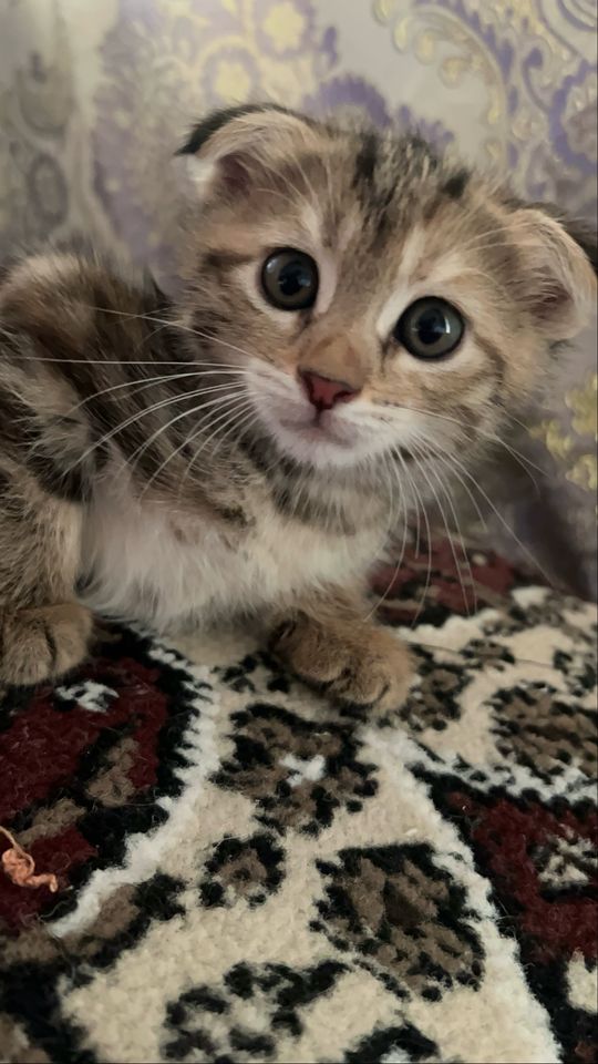 1 000 000 сум