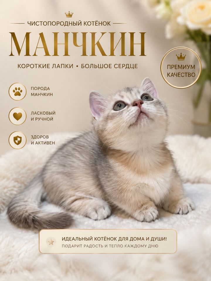 500 USD