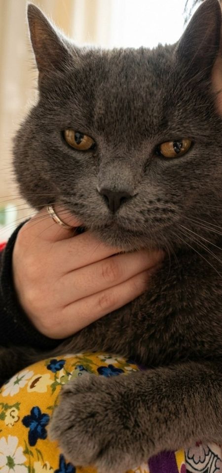 250 000 сум