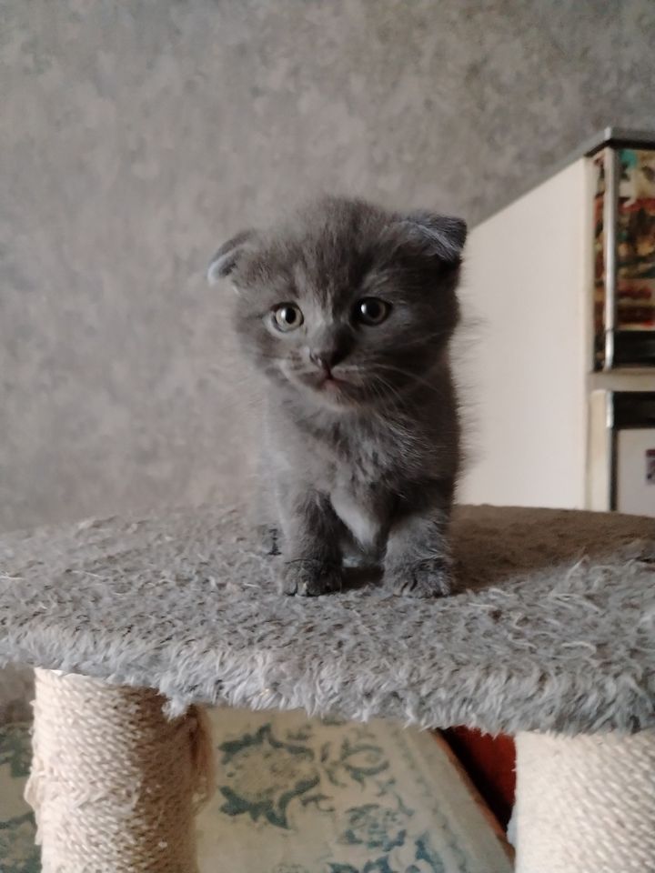 1 000 000 сум