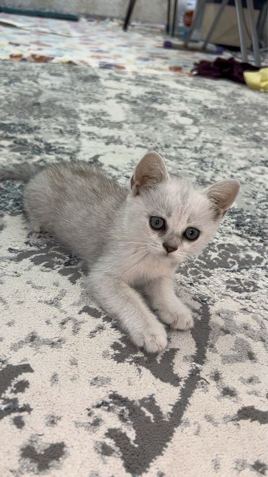 120 USD