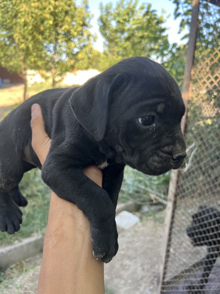 330 USD