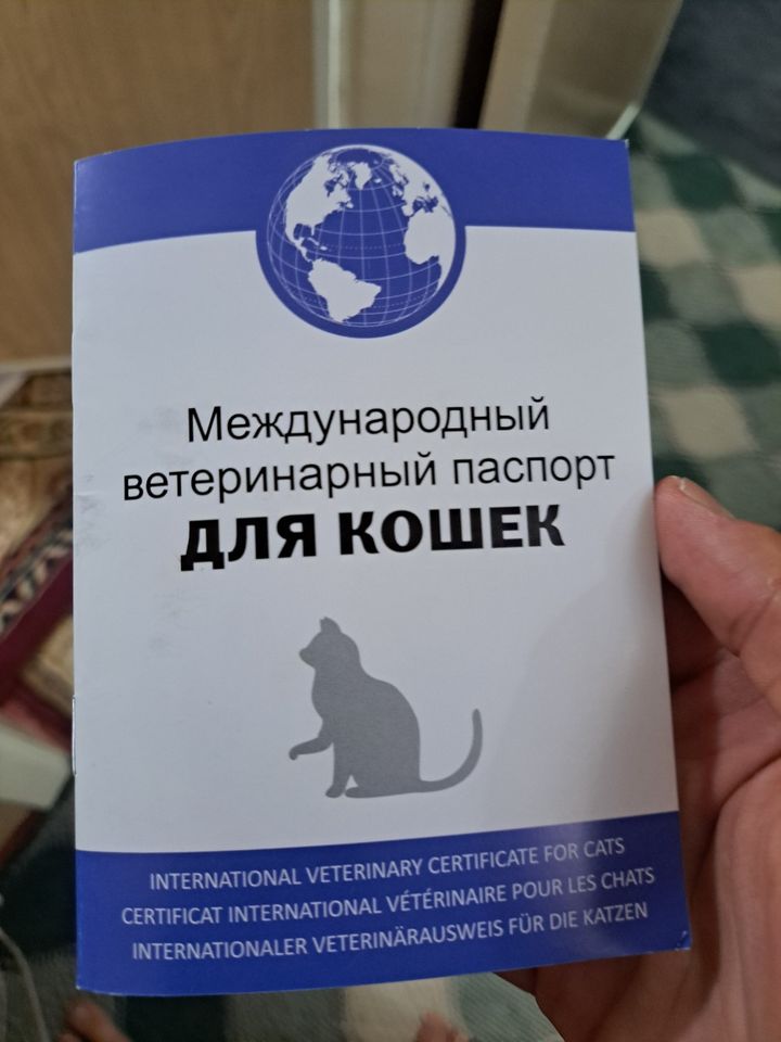 1 800 000 UZS