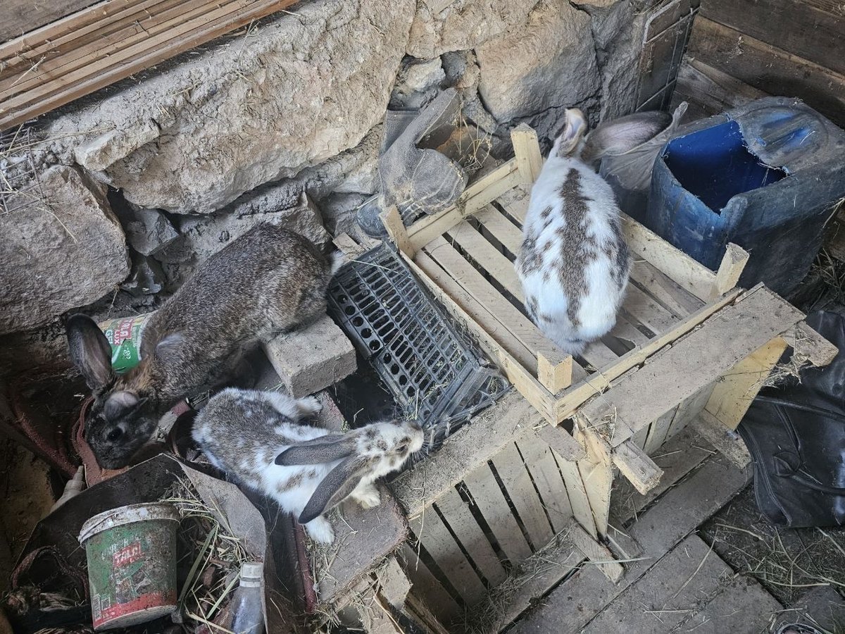 370 000 сум