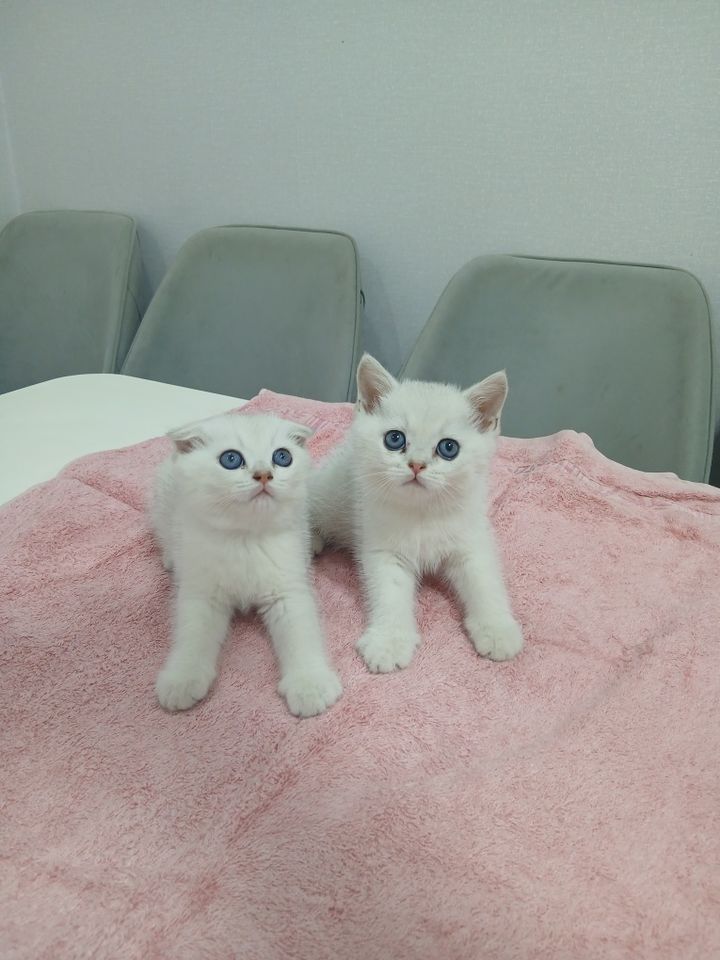 125 USD