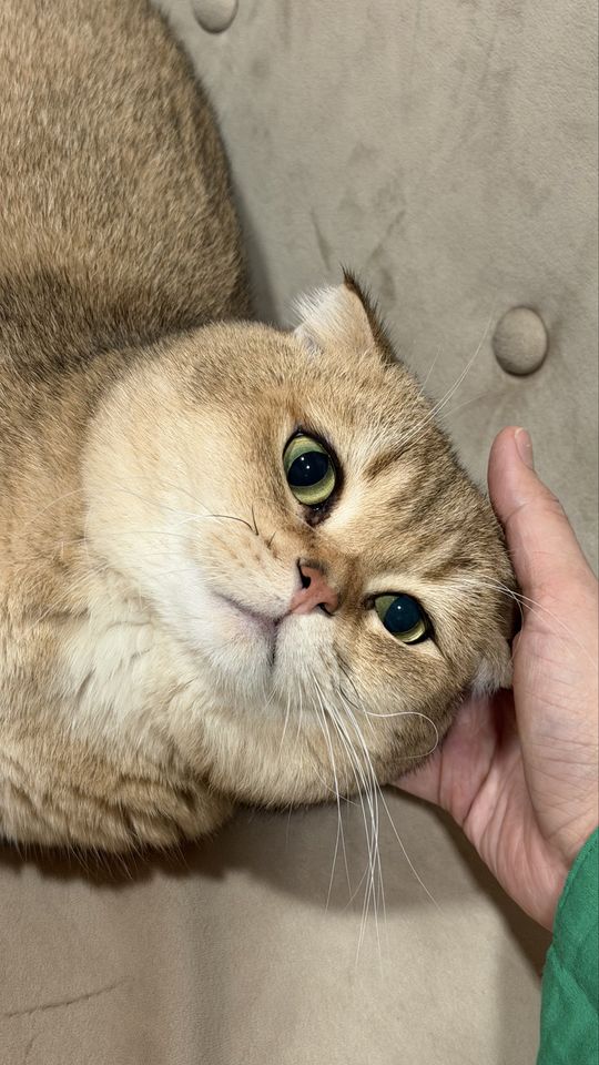 400 000 сум