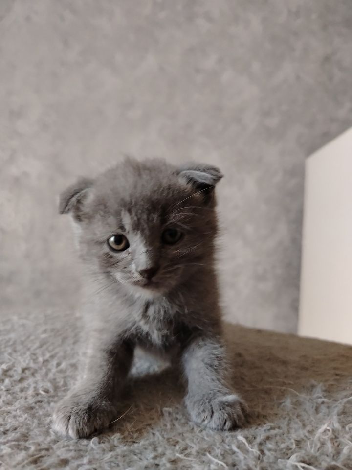 1 000 000 сум