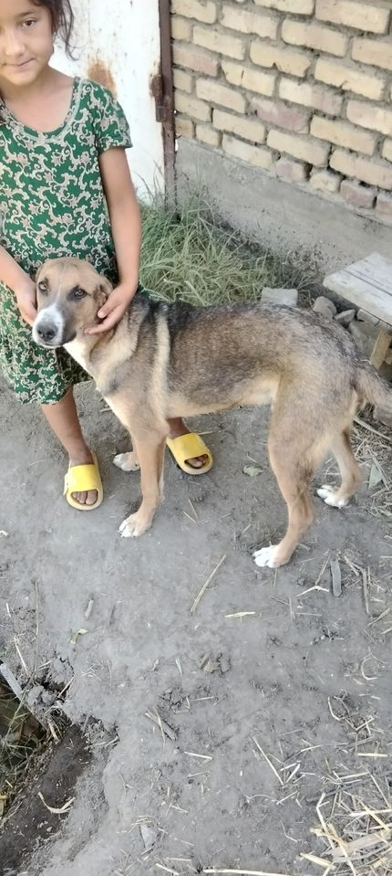 100 000 сум