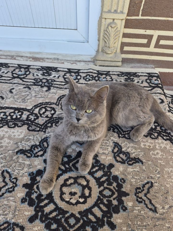 1 000 000 сум
