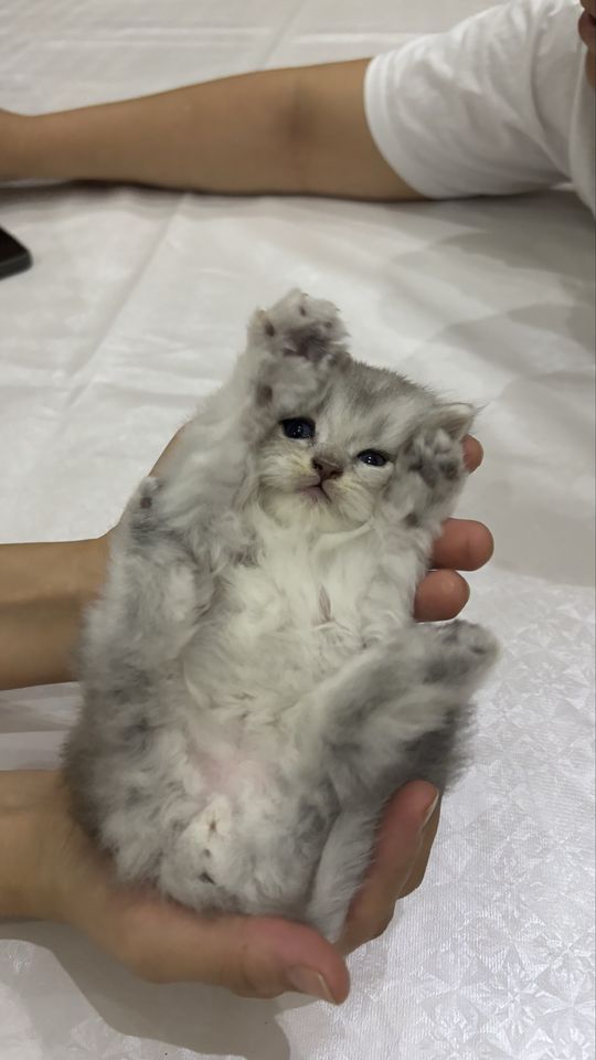 1 800 000 сум