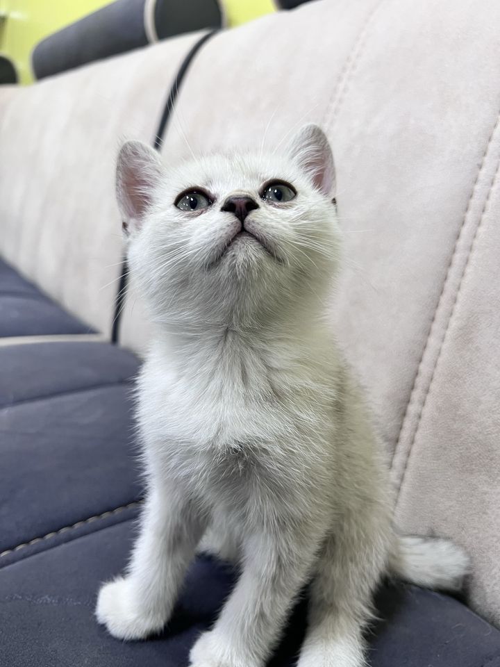 120 USD