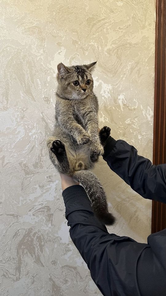 500 000 сум