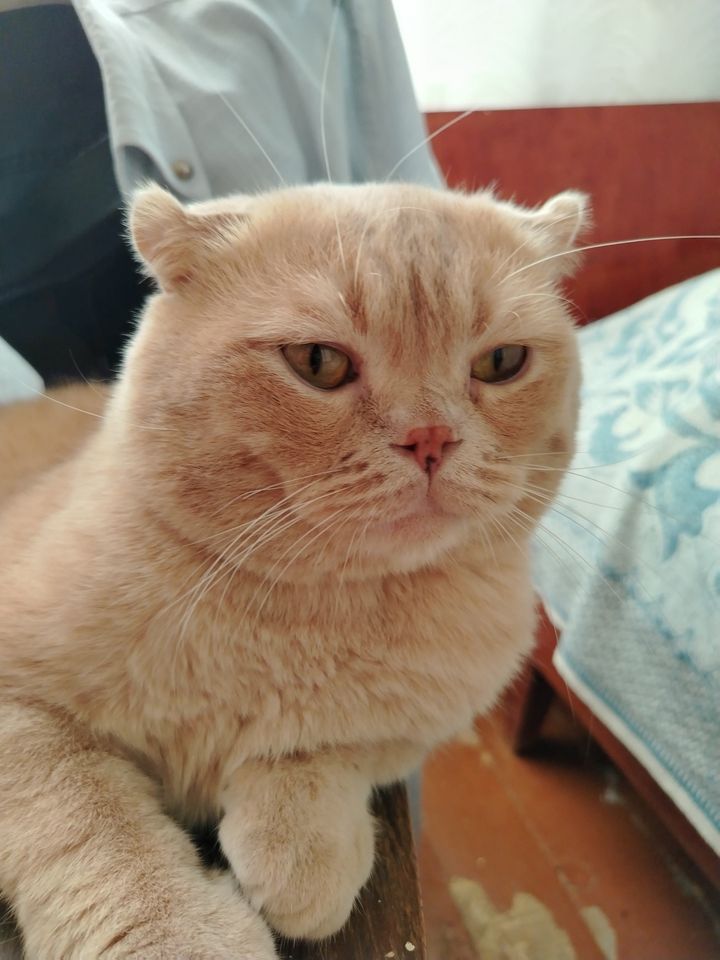 1 000 000 сум