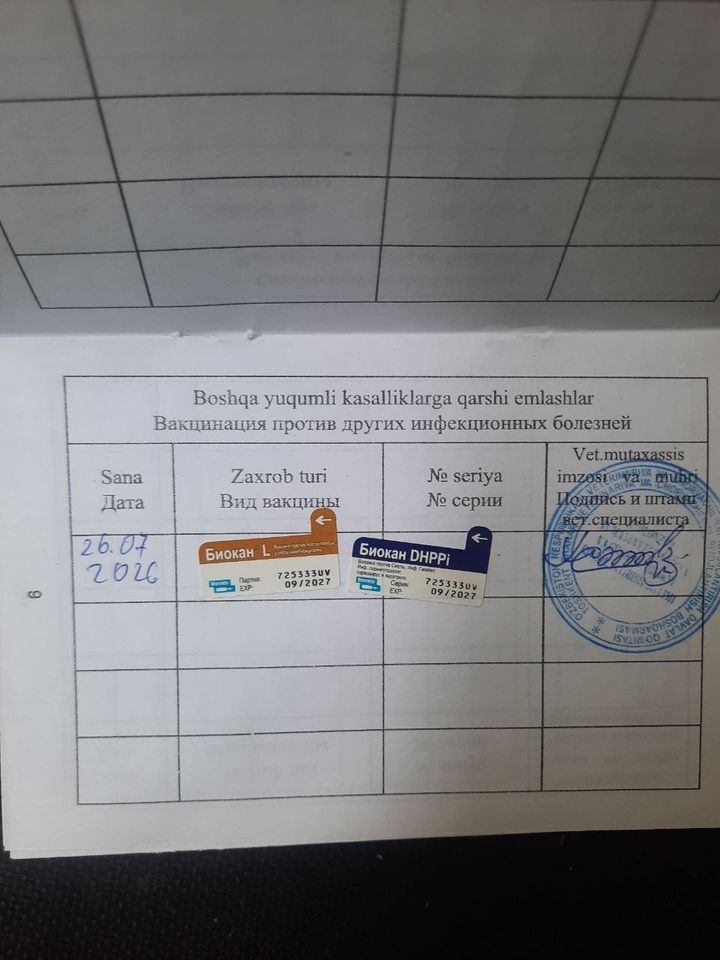 200 USD