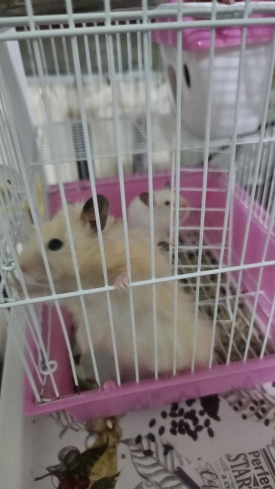 90 000 сум