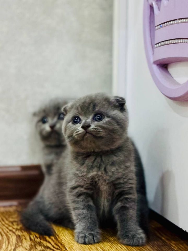 1 100 000 сум
