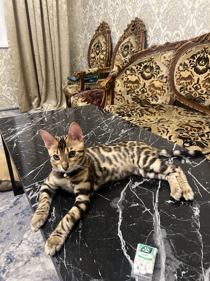 6 000 000 сум