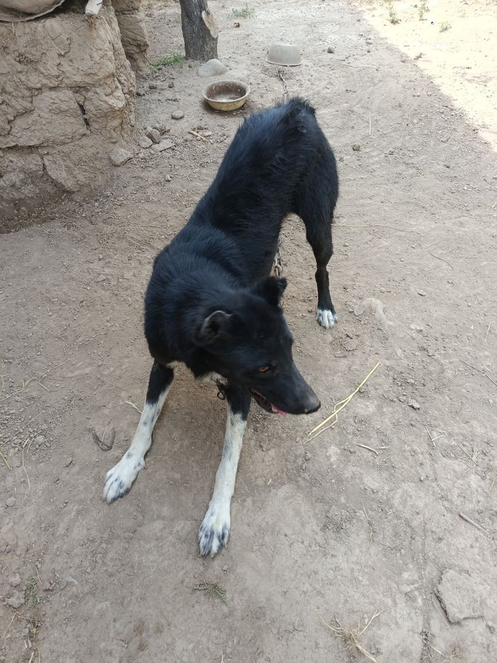 20 USD
