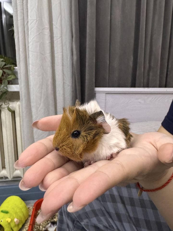 80 000 сум