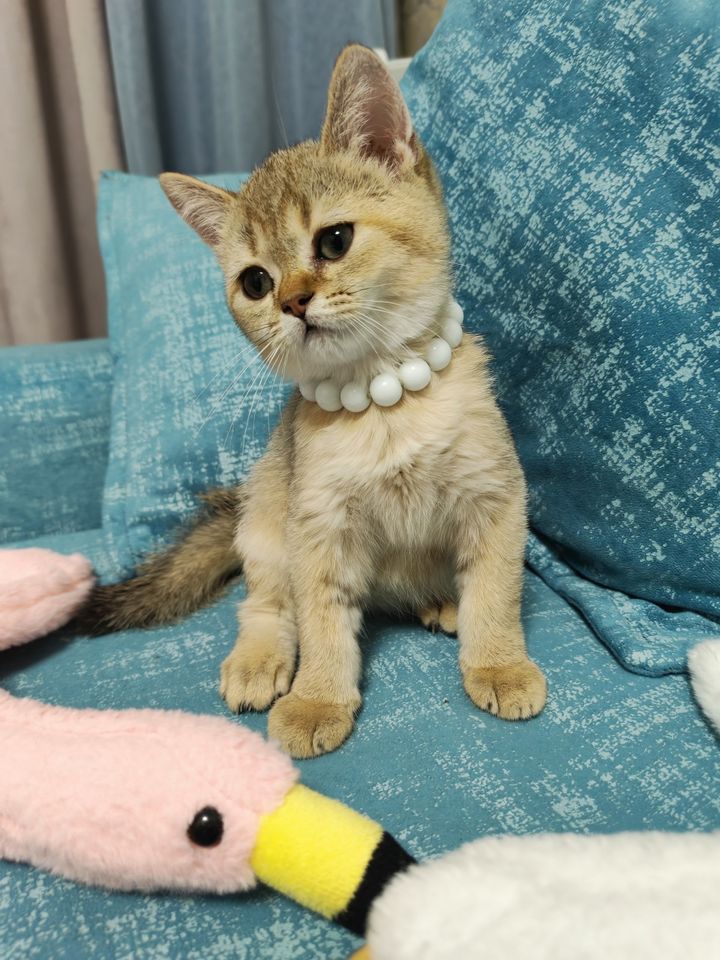 120 USD