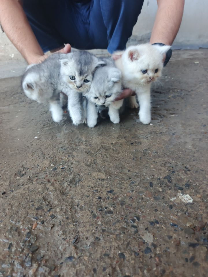 70 USD