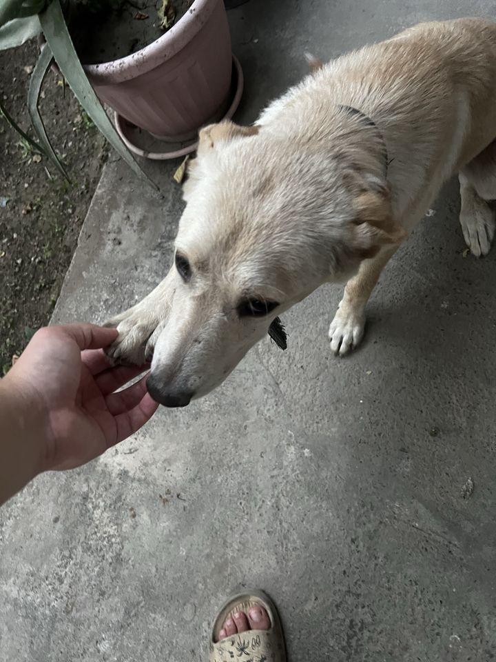 Бесплатно