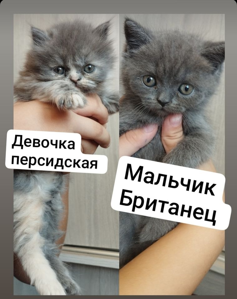100 USD