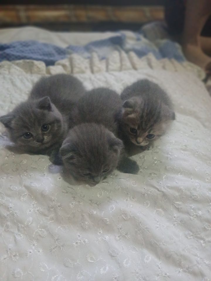 1 000 000 сум