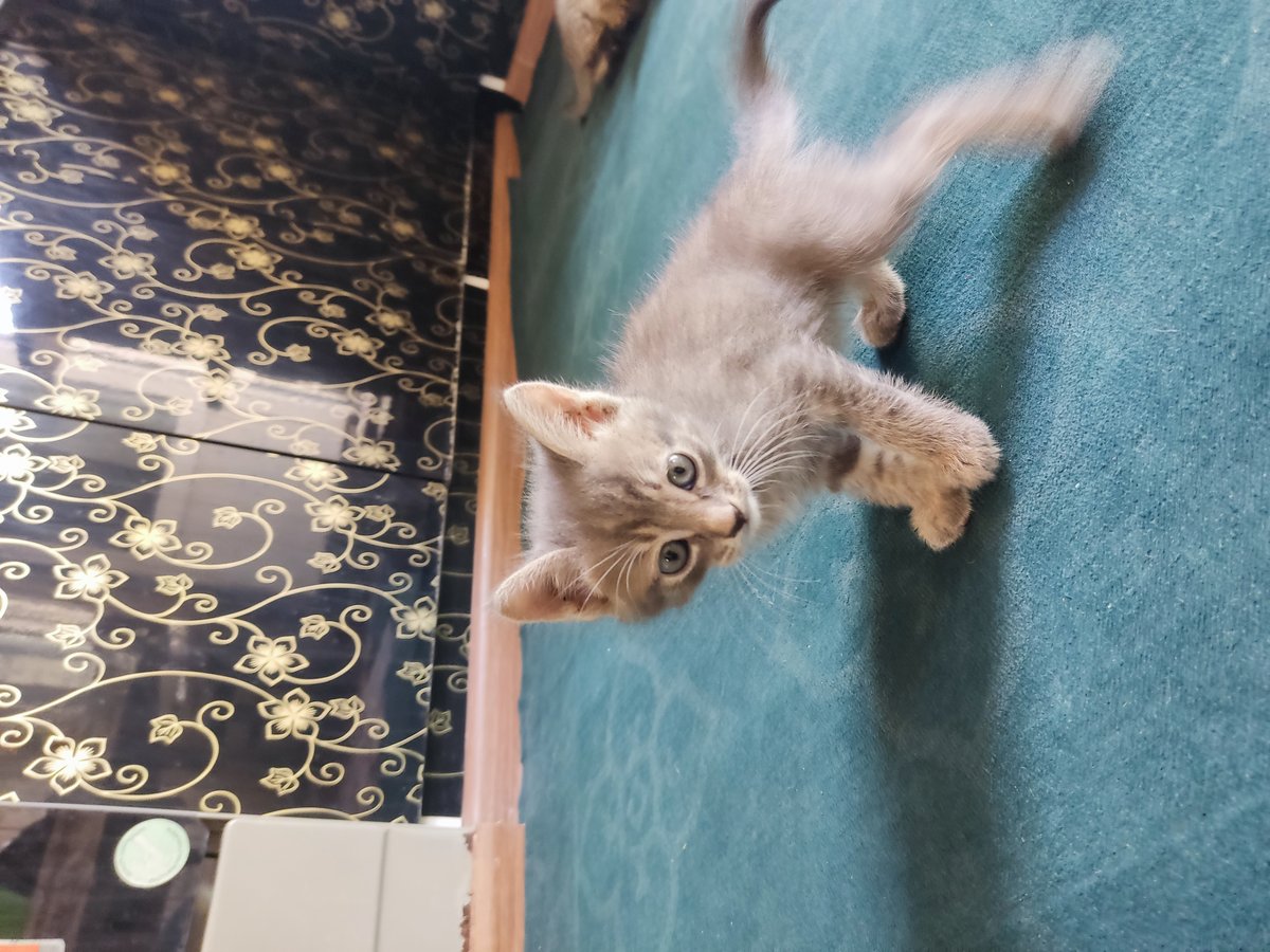 650 000 сум