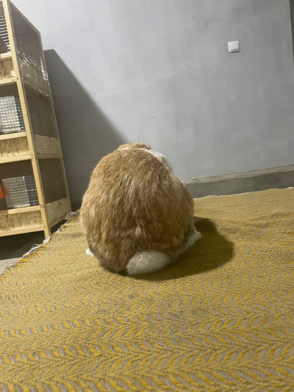 500 000 сум