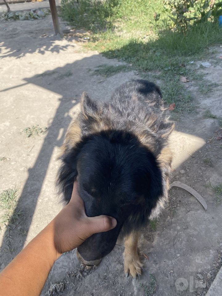 1 000 000 сум