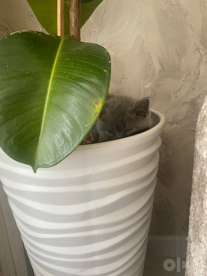 1 200 000 UZS