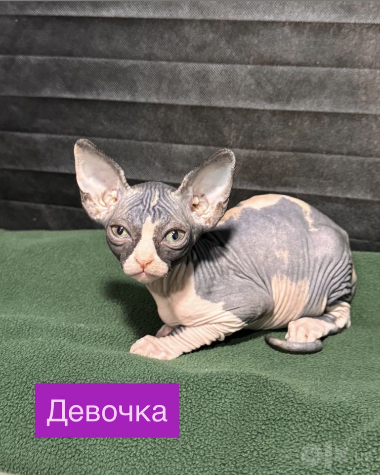 1 200 000 UZS