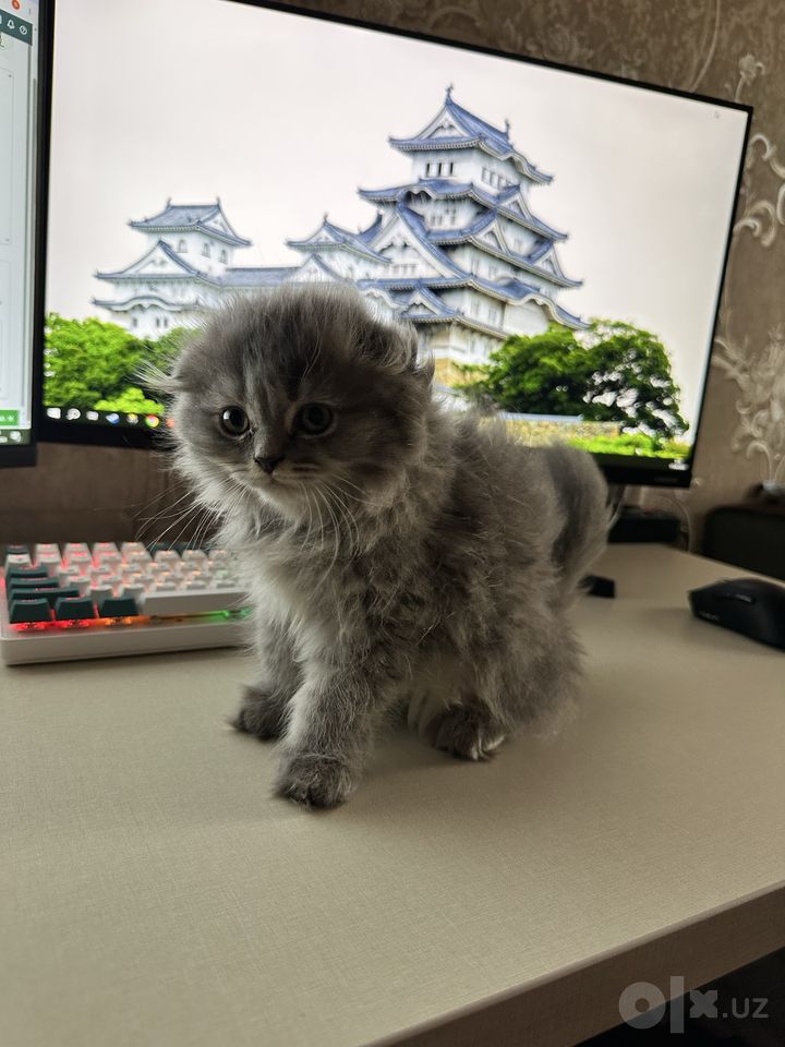 90 USD