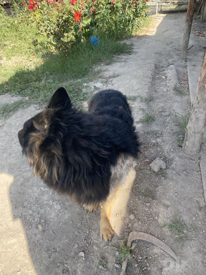 1 000 000 сум