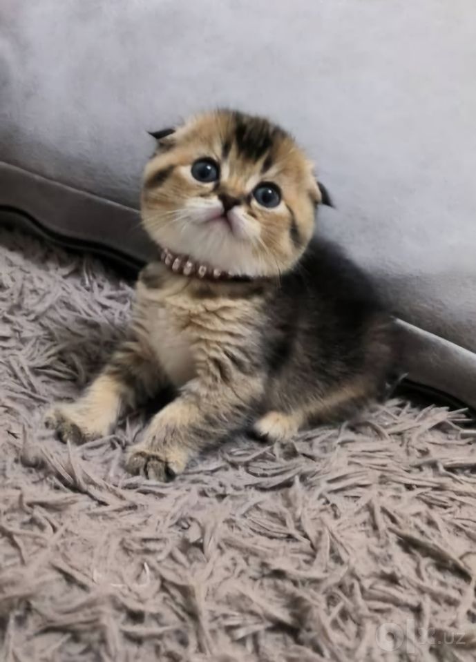 130 USD
