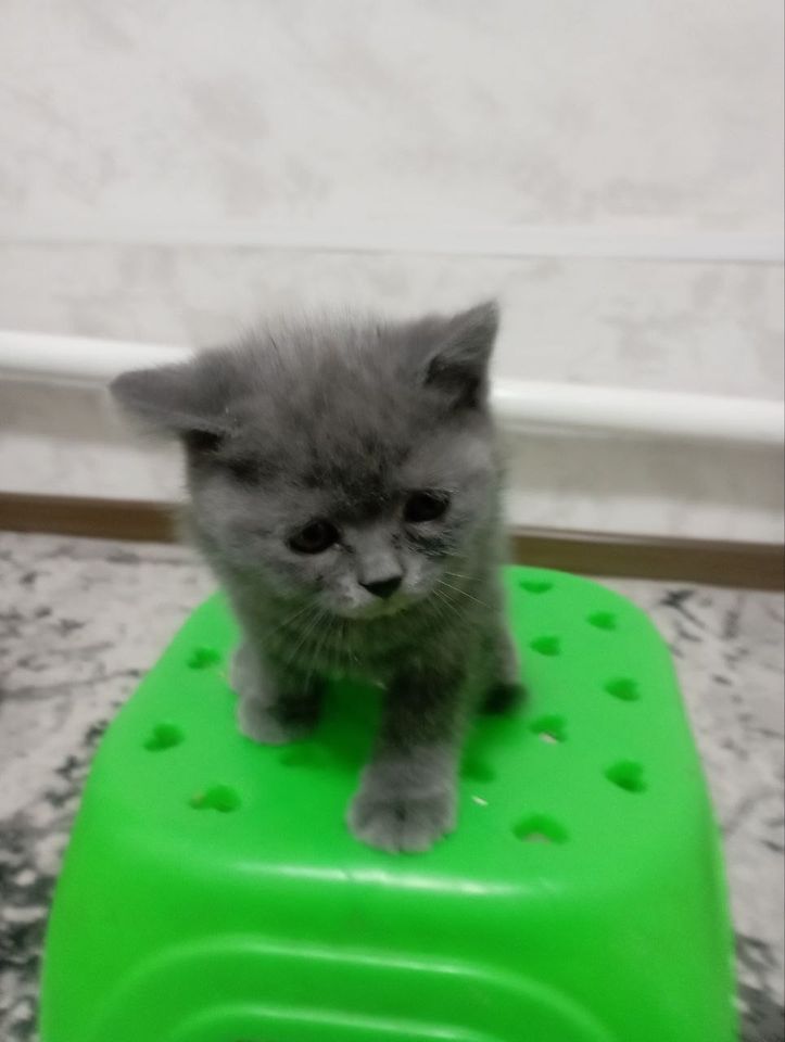 300 000 сум