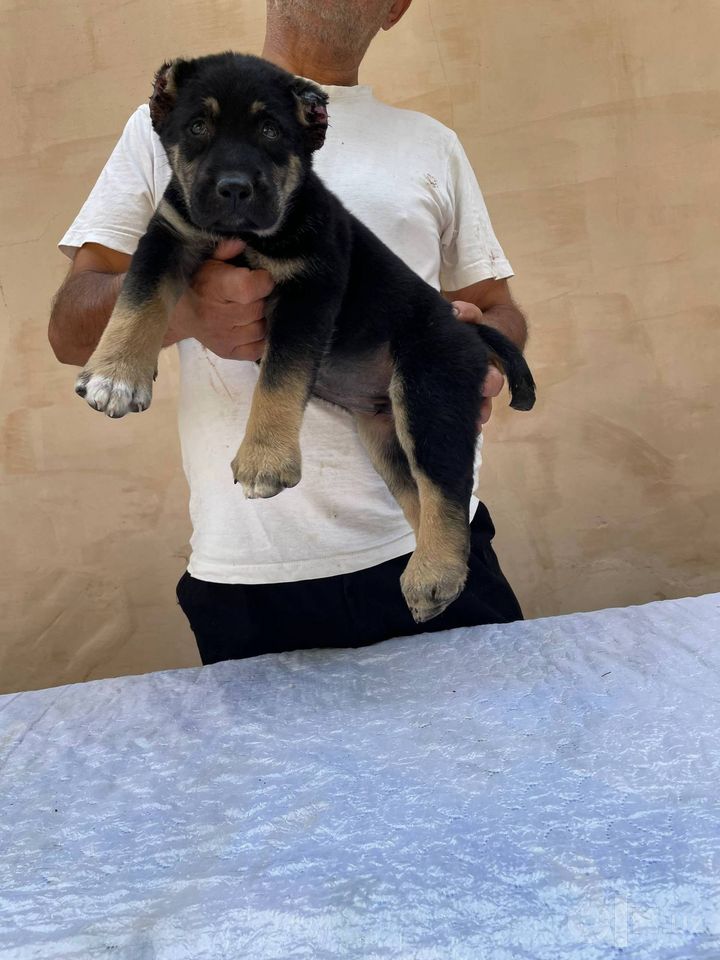 130 USD