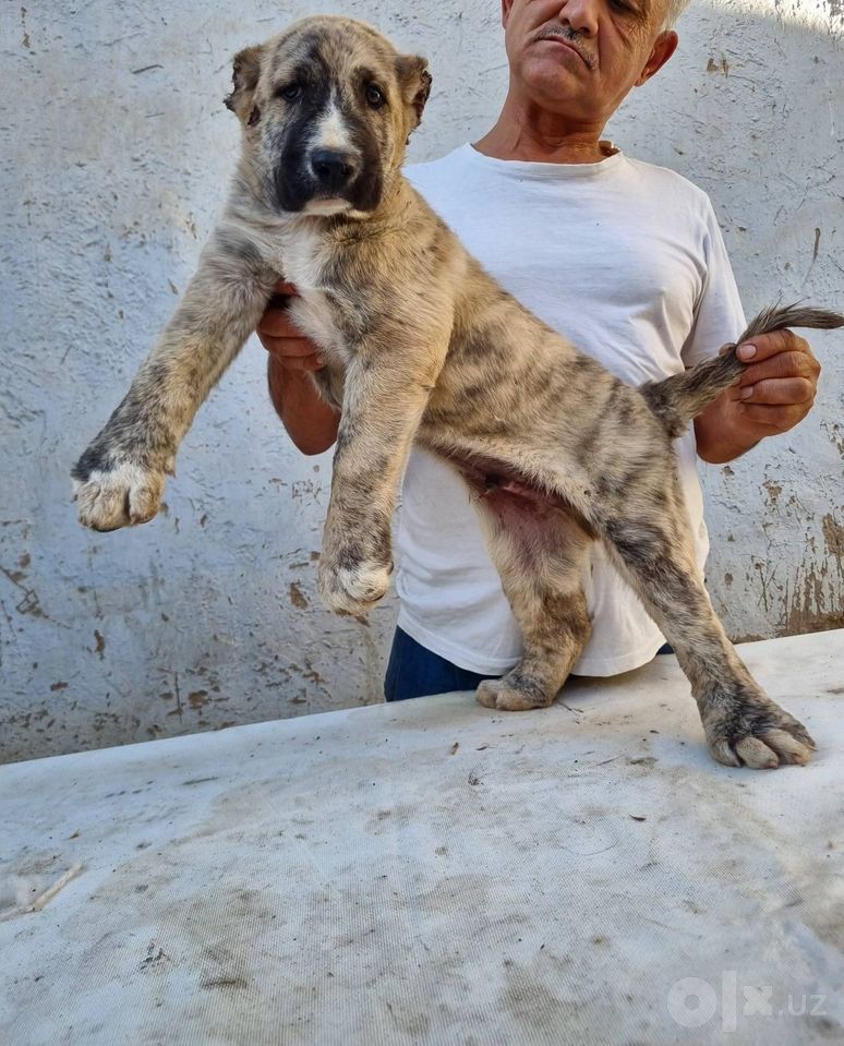 130 USD