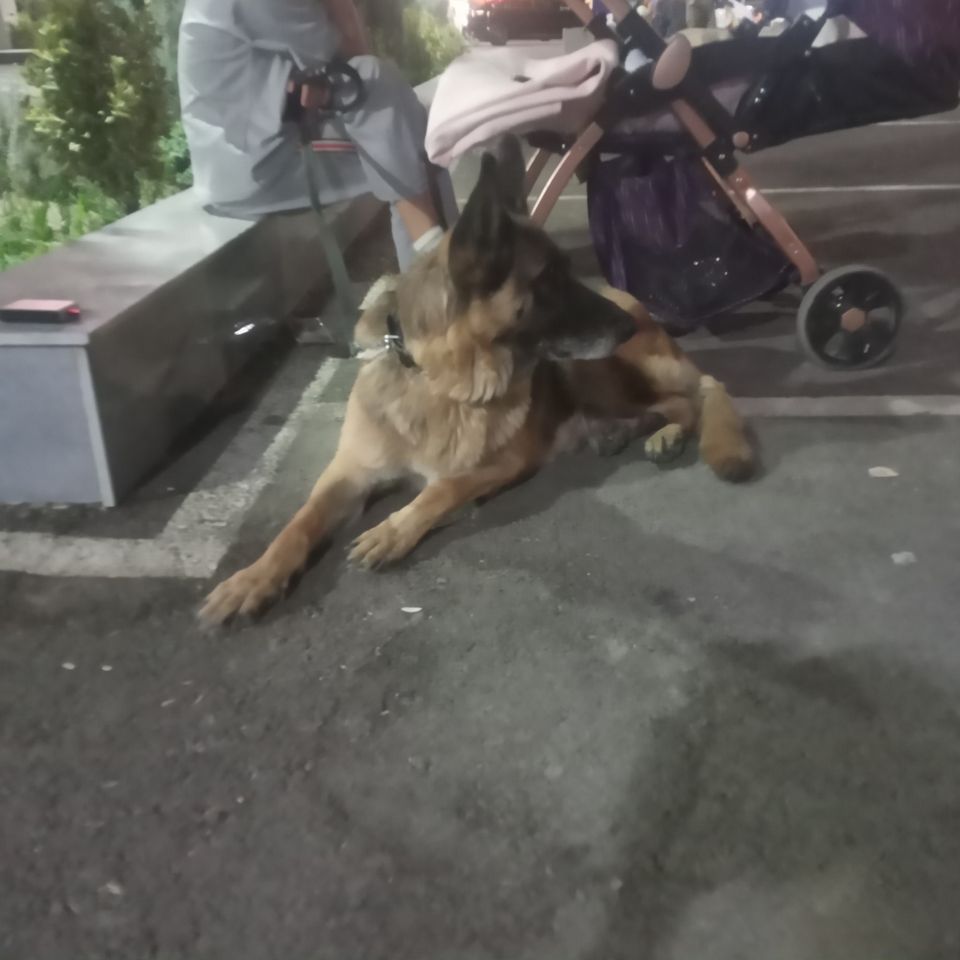 11 000 000 сум