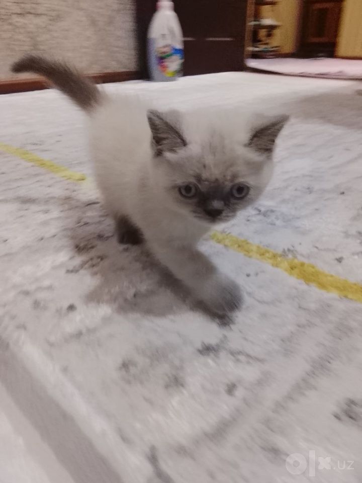 120 USD