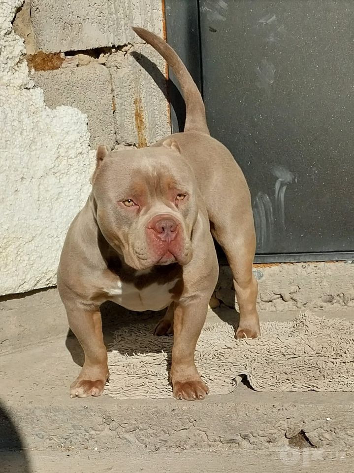 750 USD