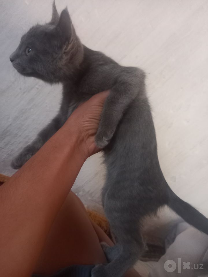 500 000 сум