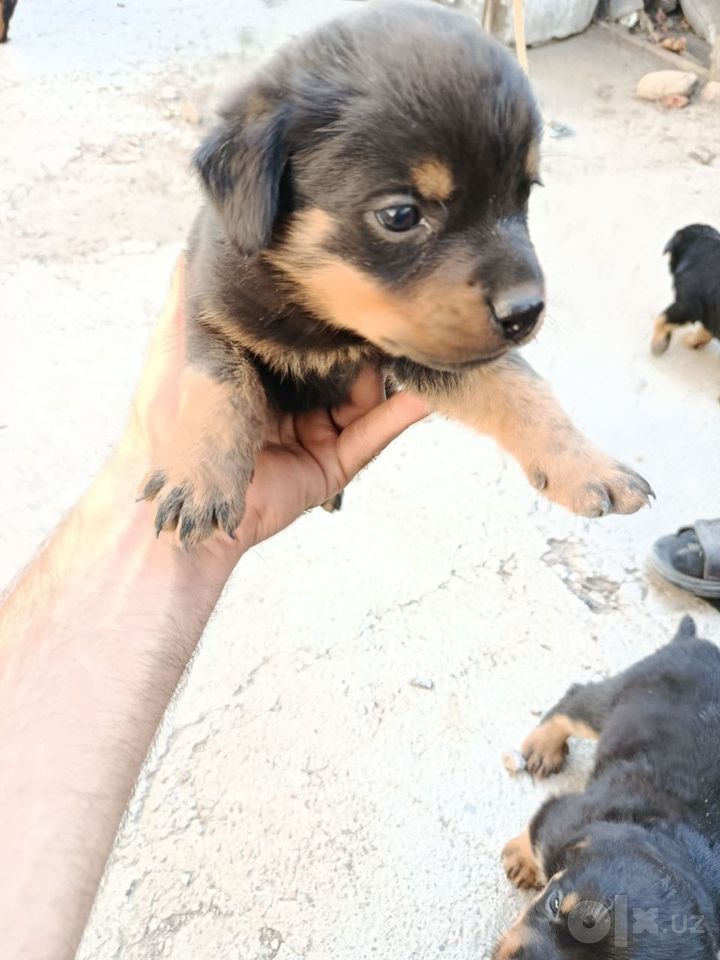 120 USD